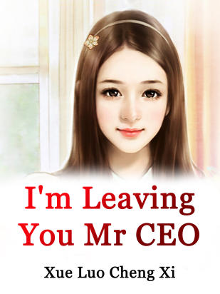 I'm Leaving You, Mr CEO